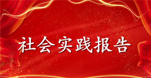 本科大学生社会实践报告范文