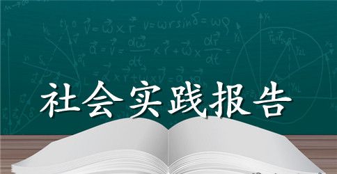 促销员社会实践日记