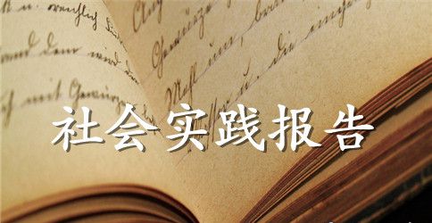 2023年大学生暑期社会实践报告：会计助理实践
