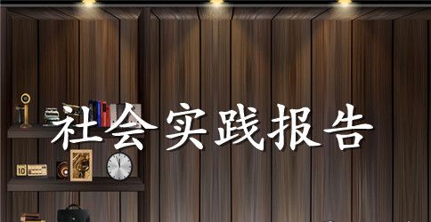 2023年大学生暑期敬老院社会实践心得体会范文