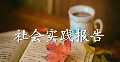 2023年大学生人才服务中心社会实践心得体会范文