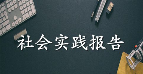 书店社会实践报告2023精选