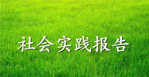 2023年7月大学生社会实践调查报告