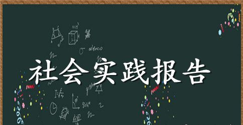 大学寒假社会实践范文
