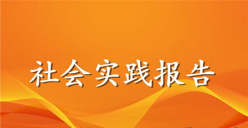 大学生暑期社会实践报告:会计