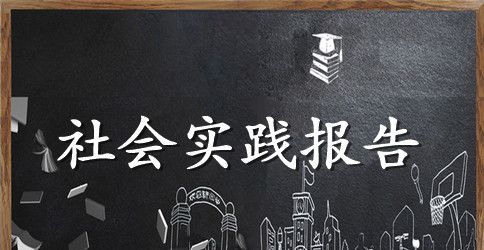 2023暑假社会实践报告书