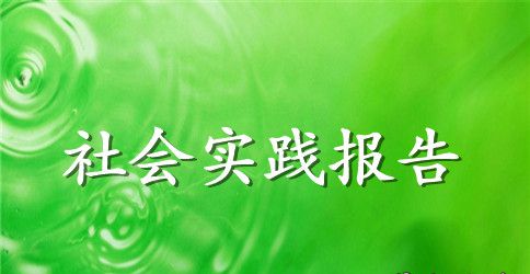 2023年寒假社会实践报告论文