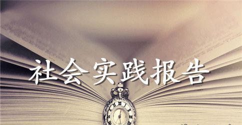 2023大学生假期实践报告范文