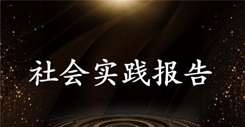 软件公司社会实践报告