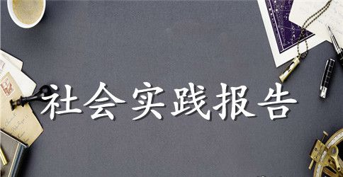2023会计社会实践报告4000字