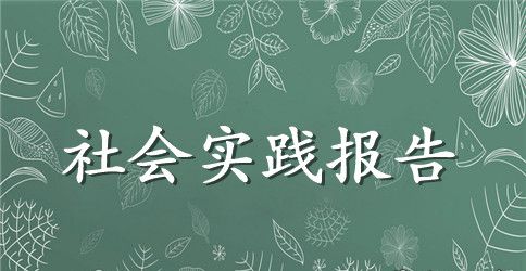 会计学的社会实践报告