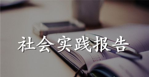 汽车专业大学生寒假社会实践范文