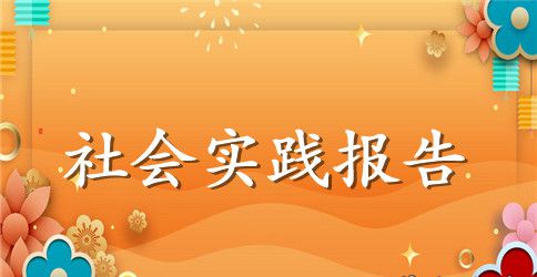 社会实践报告 卖报纸