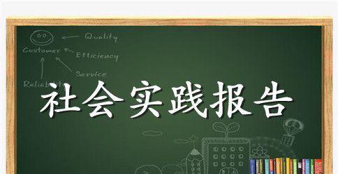 医学生实践总结