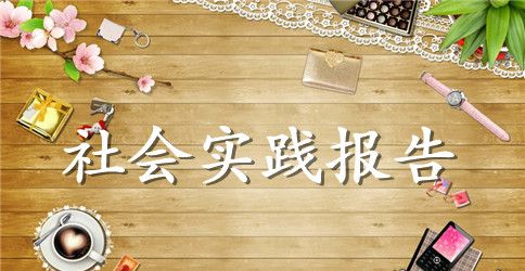 2023年暑期三下乡社会实践报告活动总结