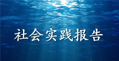2023大学生图书馆社会实践报告