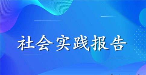 大学生寒假参加社会活动总结报告
