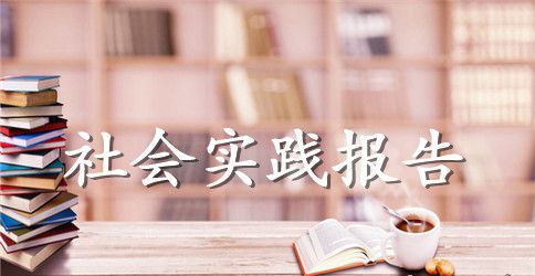 2023年精选大学生寒假社会实践报告范文