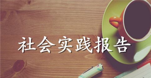 大学生寒假电子厂社会实践报告