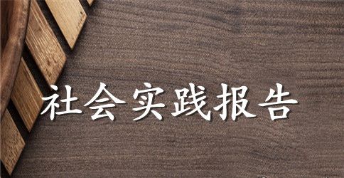 最新大学生寒假社会实践报告2023