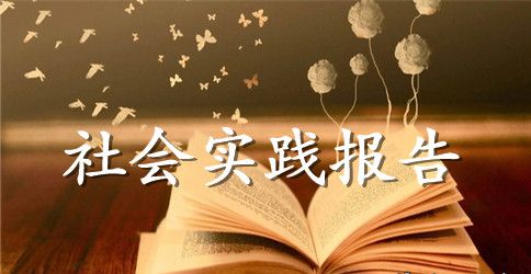 大学生走进敬老院社会实践报告