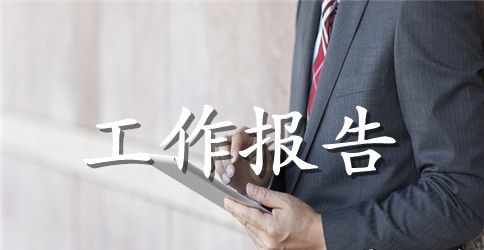 食品安全整治工作报告