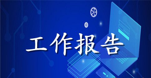 市家电市场简概的工作报告