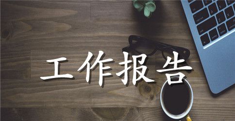 防汛安全检查的工作报告
