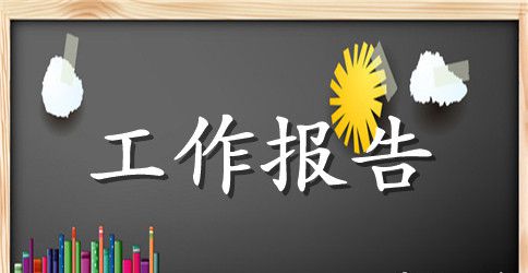 财务年度工作报告