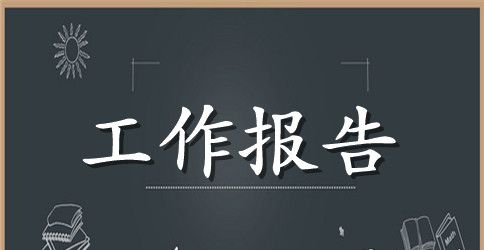 工贸总公司综治工作汇报