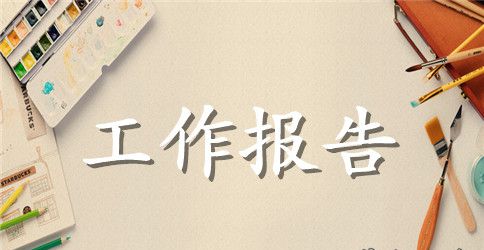 市统计局年终的工作报告
