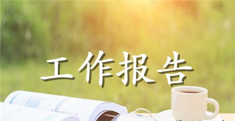 农业工作报告示例
