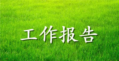 镇委工作会议工作报告