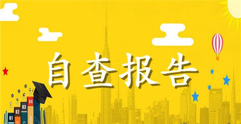 党的政治纪律自查报告