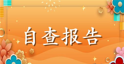 政务公开自查报告4篇