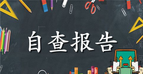 财务收支自查报告3篇