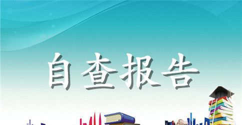 专项治理自查报告