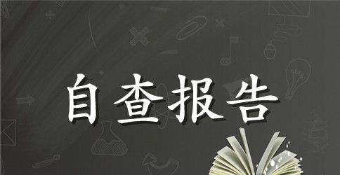 国税自查报告3篇