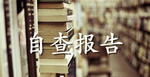 2023网络自查报告4篇