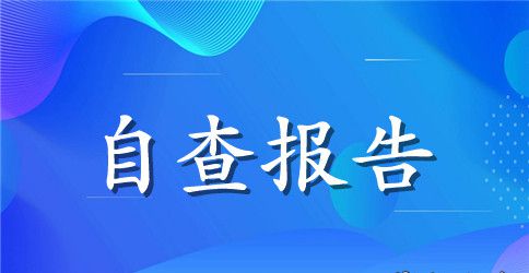 规划自查报告范文4篇