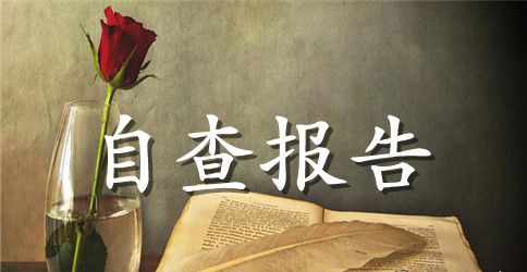 2023关于固定资产盘点自查报告