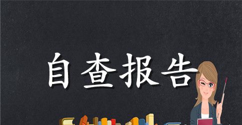 绩效评估自查报告