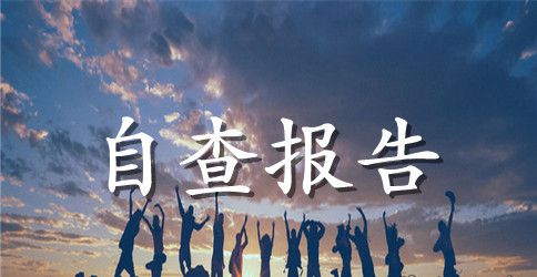 劳动自查报告4篇