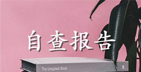 效能自查报告范文4篇