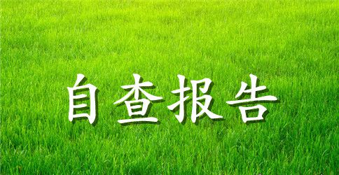 领导自查报告范文