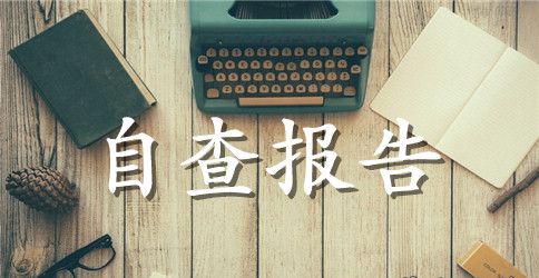 年度四风自查报告