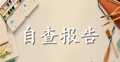 市审计局关于档案工作规范化管理执法检查自查报告范文