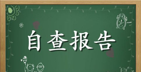 教师个人有效研修自查报告