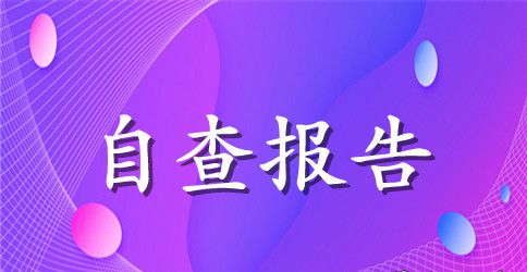 党支部三严三实自查报告