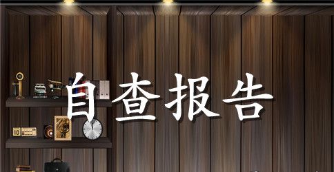 19年淳化小学教学检查自查报告
